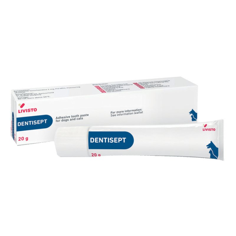 DENTISEPT Pasta Dent.20g