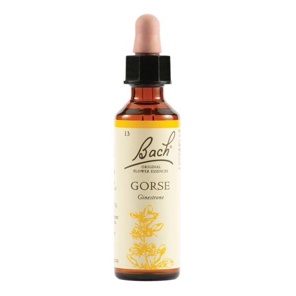 GORSE BACH ORIG 13 20ml