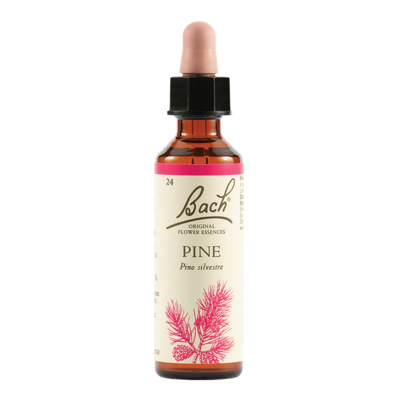 PINE BACH ORIG 20ML