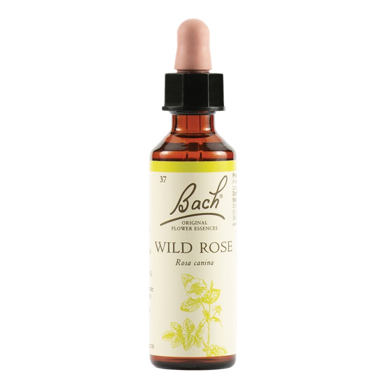 BACH 37 ROSE 20ml