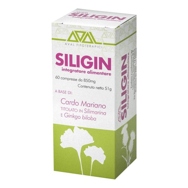 SILIGIN 60 Compresse