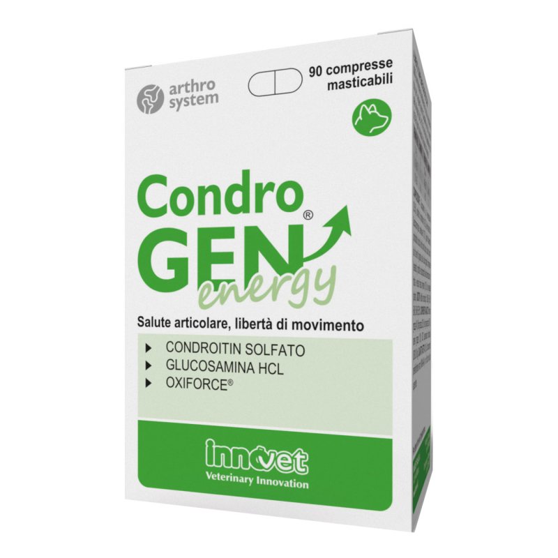 CONDROGEN Energy 90*Compresse