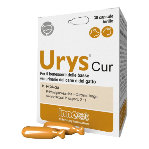 URYS CUR 30 Capsule