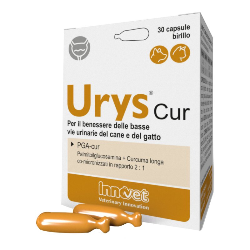 URYS CUR 30 Capsule