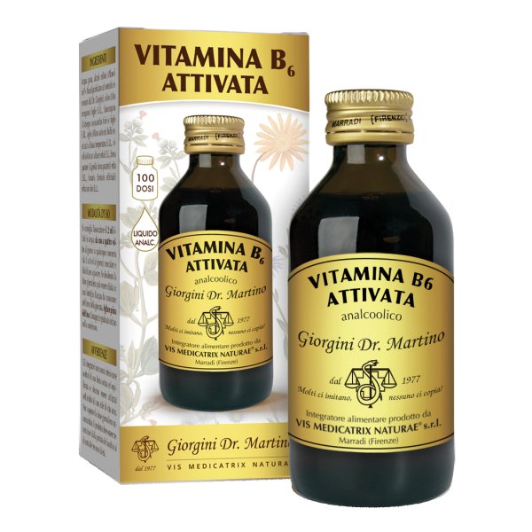 VITAMINA B 6 Att.Liq.100ml SVS