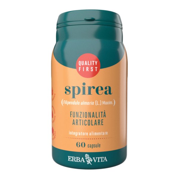 SPIREA 60 Capsule 400mg        EBV