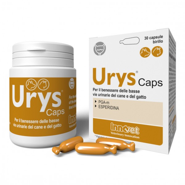 URYS CAPS 30 Capsule