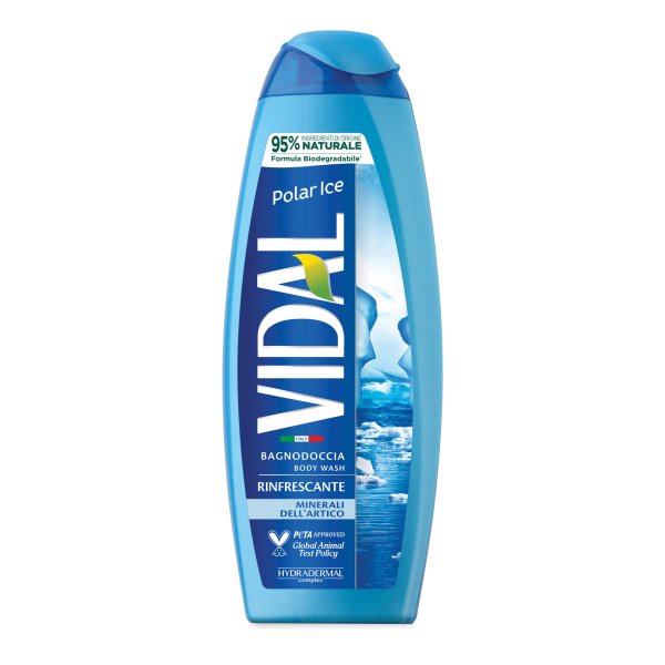 VIDAL NEW B/D POLAR ICE 500ML